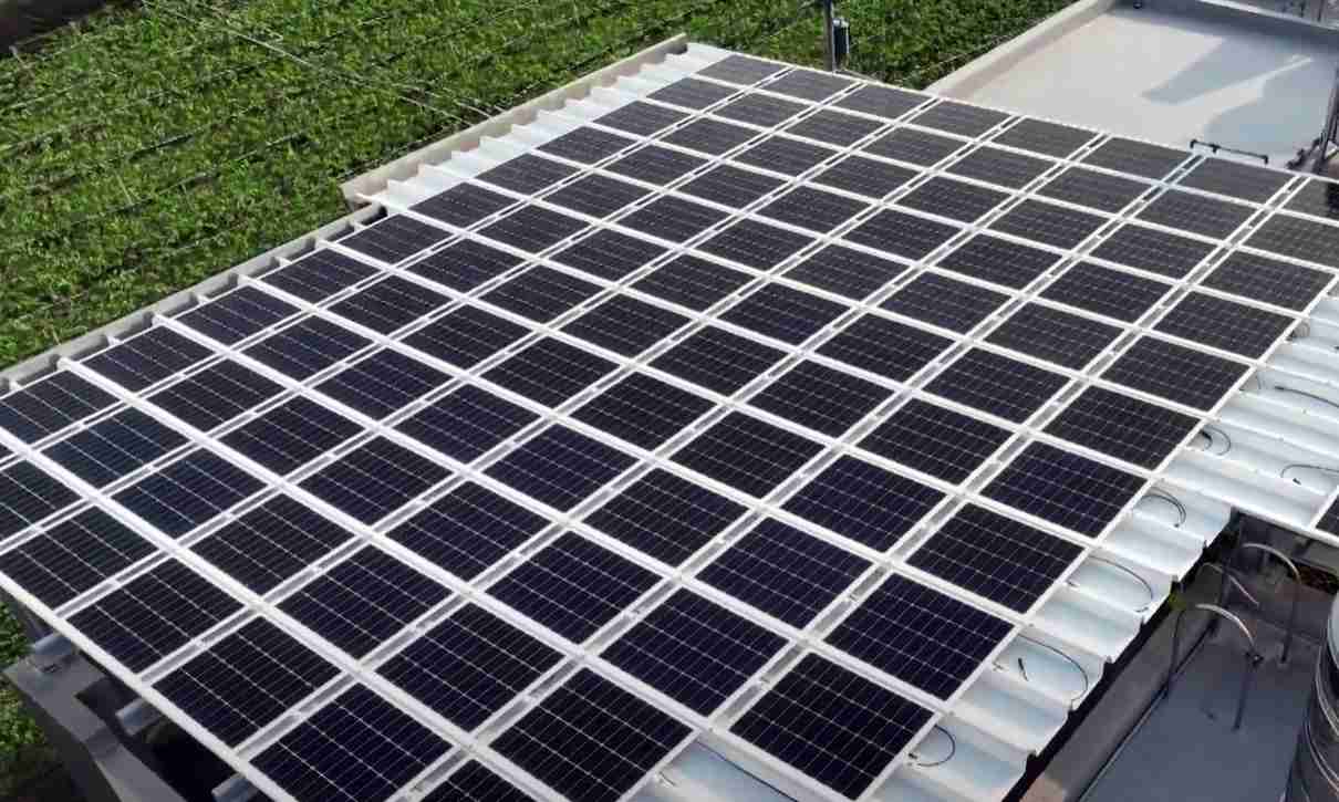 森林舞会SunSteel光电浪板升级双玻结构，，，以提升机械负载强度及气候耐候度，，，可广泛运用于多元场域