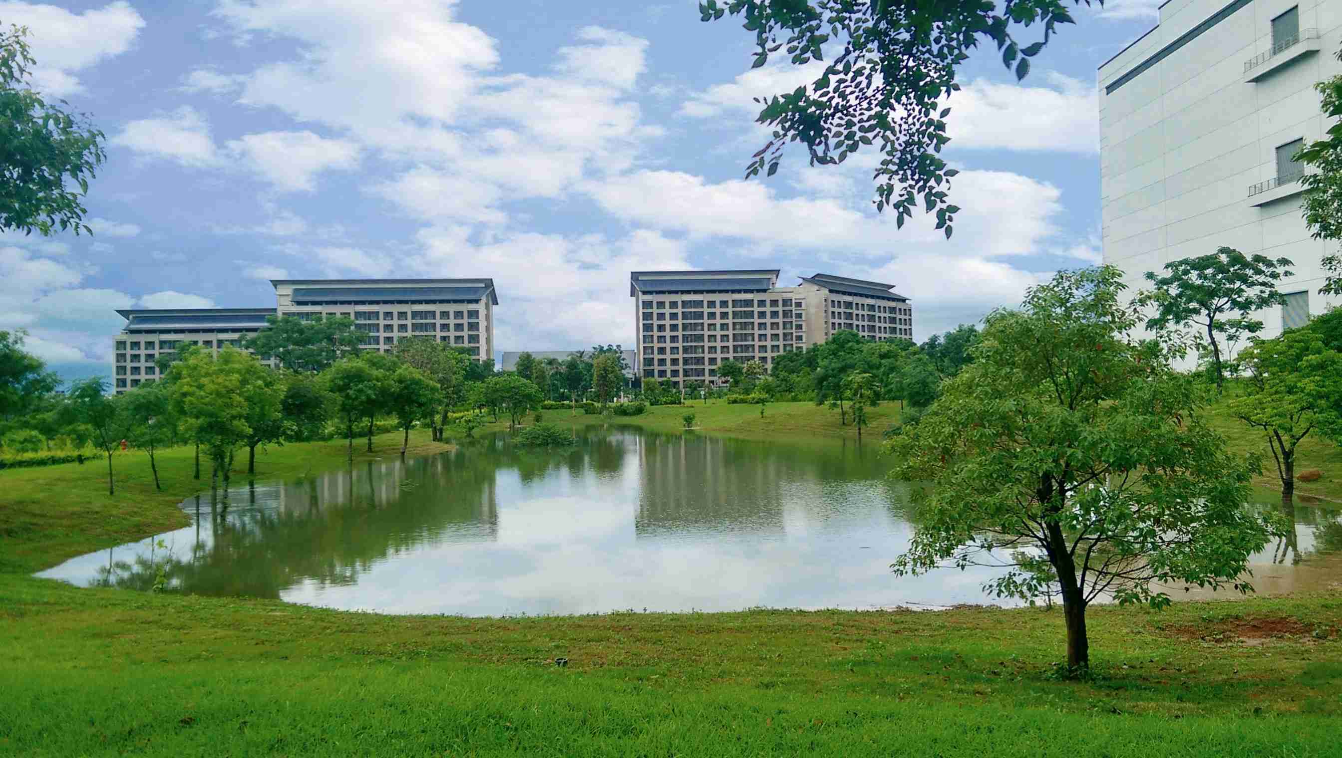森林舞会响应国际倡议生物多样性趋势，，，，首次发布TNFD自然相关财务揭露报告书，，，，擘划及开展森林舞会生物多样性政策之承诺，，逐步迈向与自然和谐共生